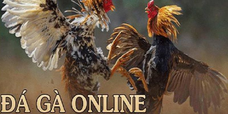 Đá gà Online- tựa game hot hit mọi thời đại 